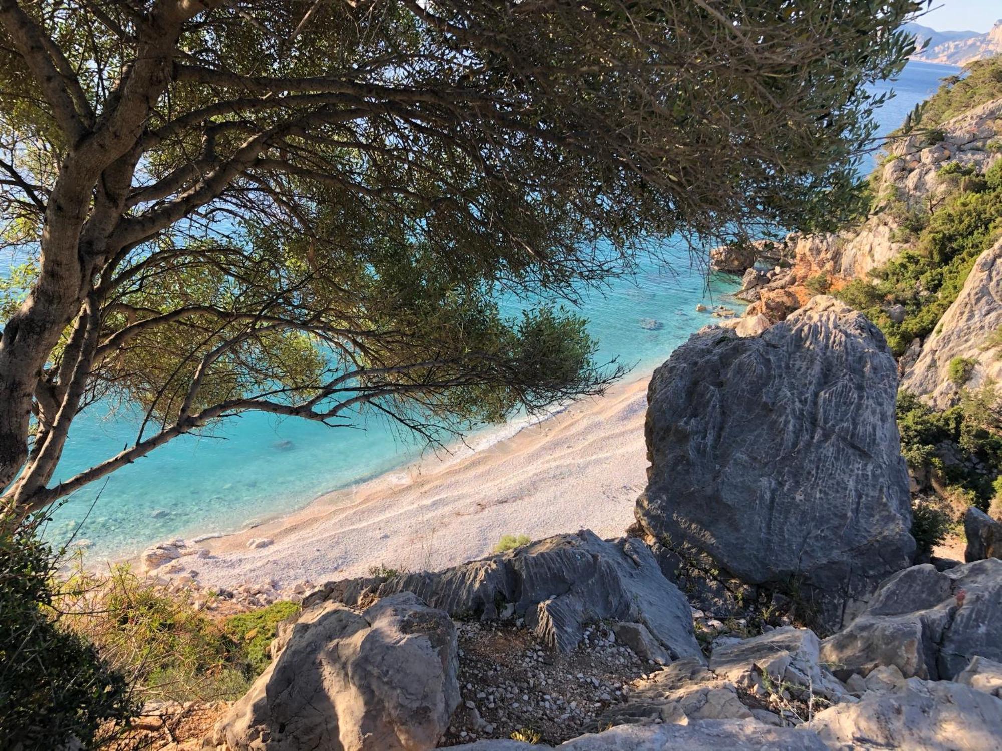 Fronte Mare Apartment Cala Gonone Bagian luar foto